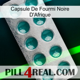 Africa Black Ant Capsule dapoxetine1